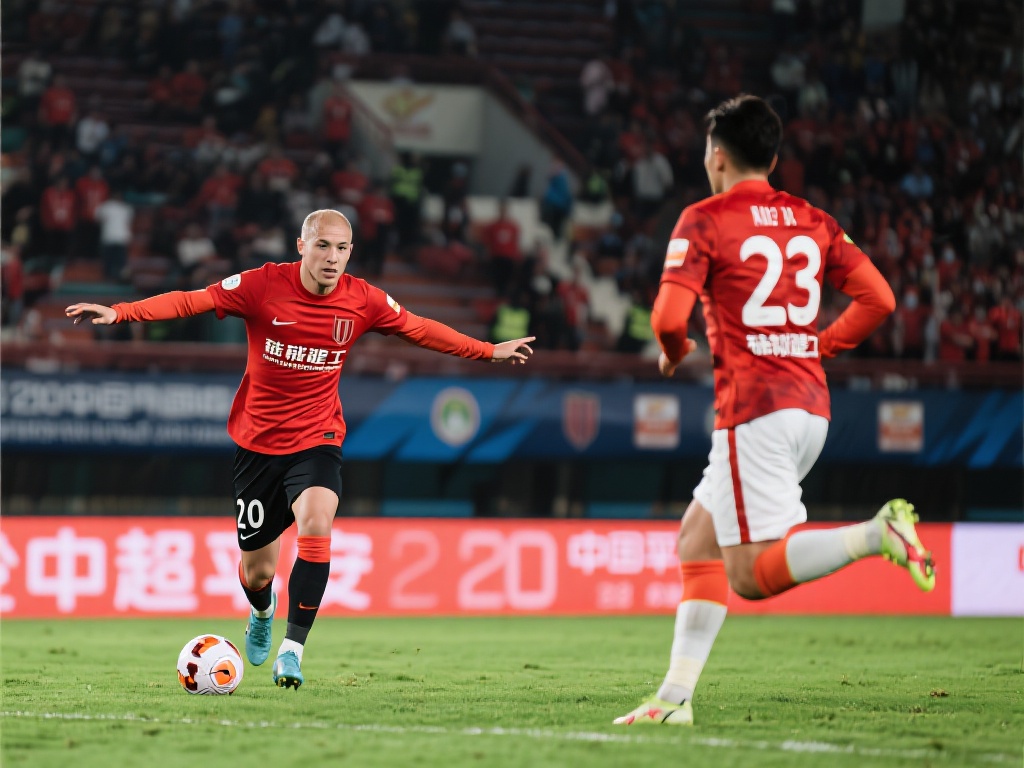 建了平台 建了平台